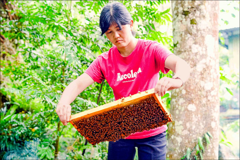 「蜜蜂世界」的陳婷怡養蜂資歷逾20年，是今年全國蜂蜜評鑑六都唯一獲特等獎的女性蜂農。（農業局提供）