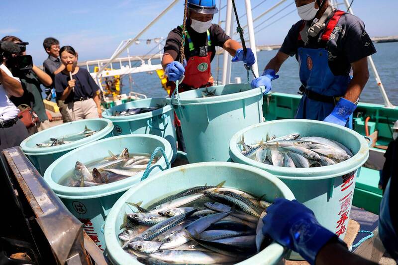 中国全面禁止进口日本海鲜，对日本渔业带来冲击。美军打破以往做法，首度出手採购相挺。（法新社）(photo:LTN)