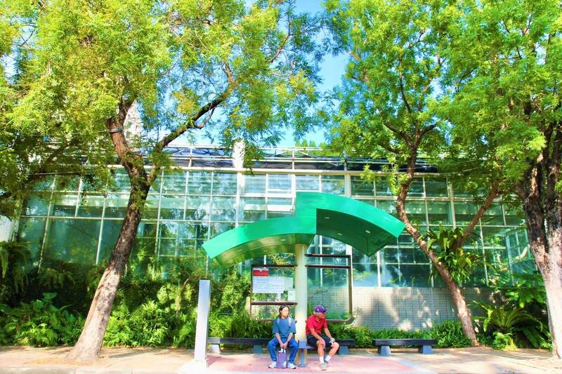 位在科博館附近「植物園西屯站」候車亭，屋頂設計成向上生長的小樹苗。（市府提供）