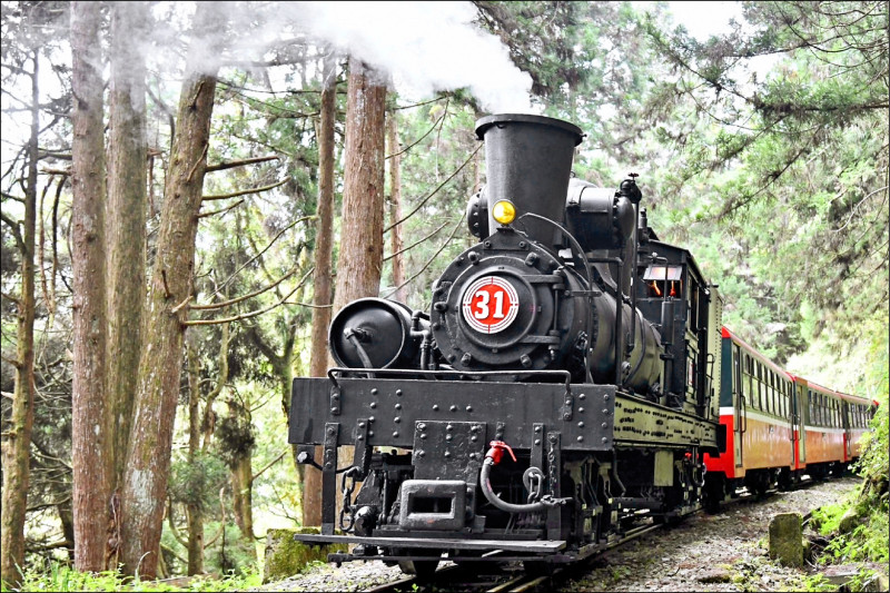 季節限定的阿里山賞楓列車，將於12月上路。（林鐵及文資處提供）