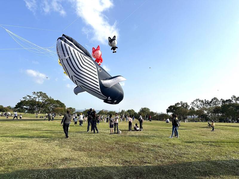 30米的超大藍鯨風箏，翱翔在后里環保公園的天空。（楊瓊瓔提供）