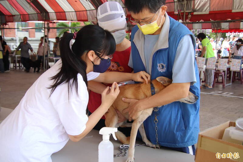 新竹縣動物保護防疫所的狂犬病預防注射和免費寵物登記巡迴活動，本週四（23日）將到峨眉舉辦。（記者黃美珠攝）