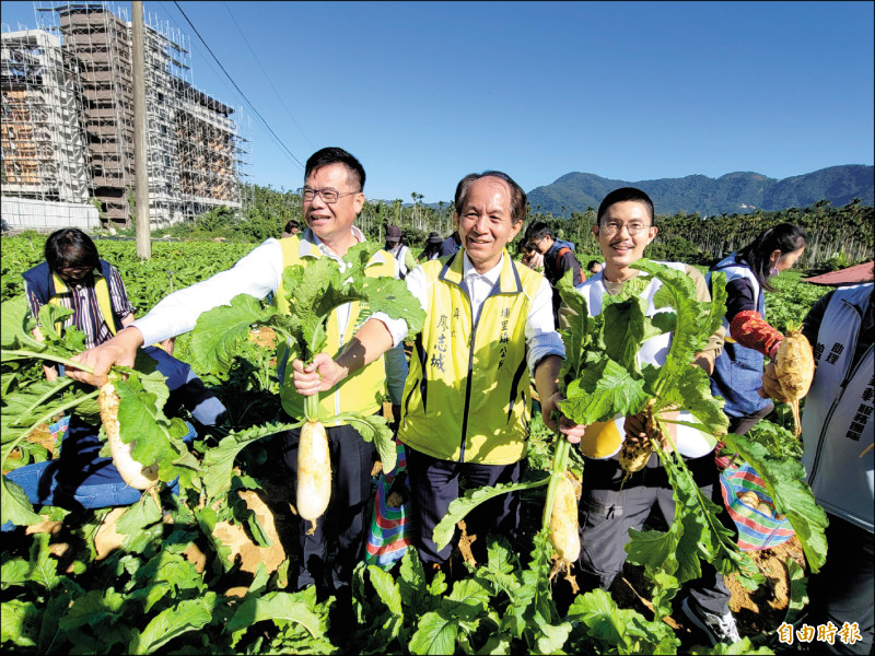 經過農民細心栽種的蘿蔔已經成熟，鎮長廖志城（中）歡迎鄉親一起拔蘿蔔。（記者佟振國攝）