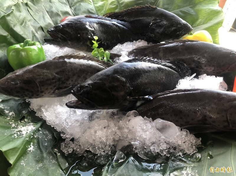 中國禁止鳳梨、石斑魚等台灣農漁產品進口，藉此警告台灣的做法，在某種程度上適得其反。（資料照）