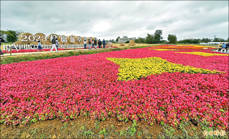 「桃園仙草嘉年華」活動開幕兩天，浪漫花田大爆棚。圖為主場區的繽紛花海。（記者李容萍攝）