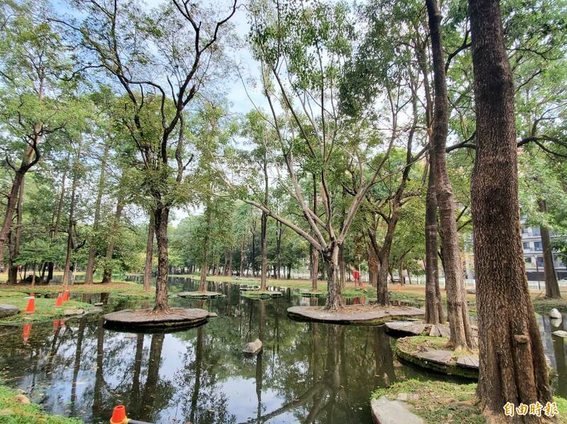 大東濕地公園「忘憂森林」木平台殘破不堪，地方要求修復重現美景。（記者陳文嬋攝）