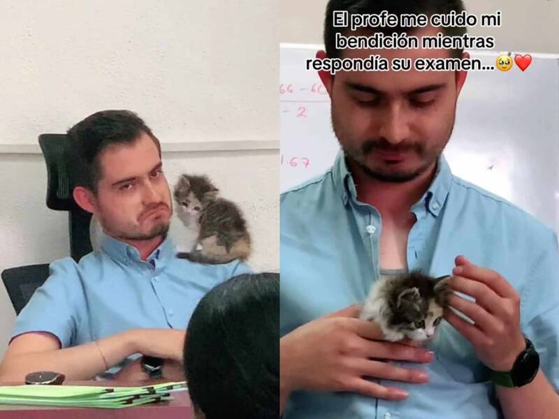 墨西哥一名大學教授日前到教室監考，期間幫一名學生代為照顧寵物小貓，可愛畫面意外在網上爆紅。（圖擷取自sherlyn_franco__ 社群平台「X」，本報合成）