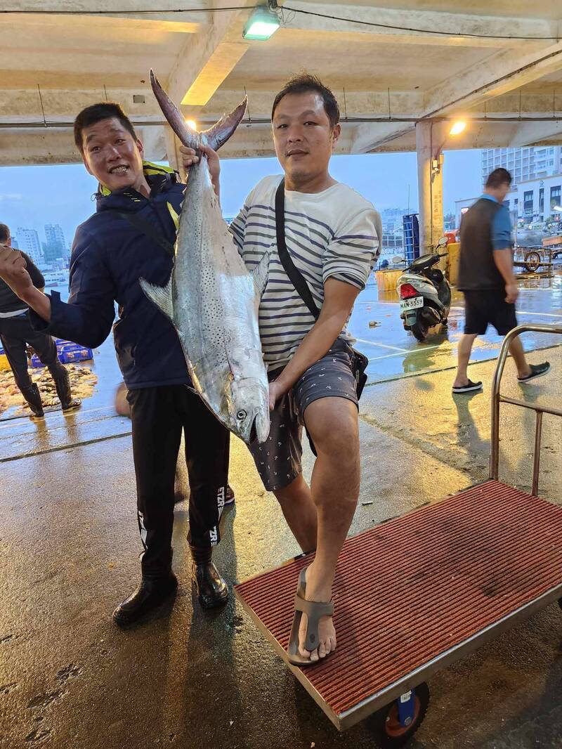 今年入冬以來，澎湖北海最大尾白腹魚十二點五公斤現身。（高明強提供）