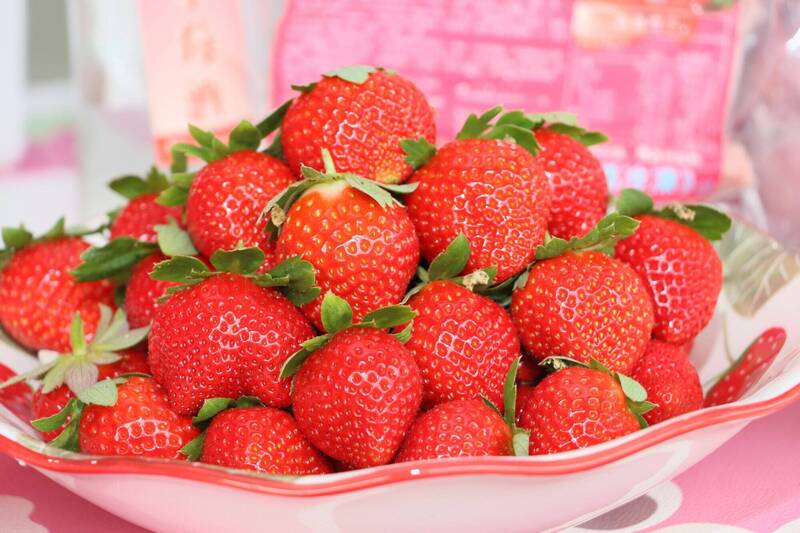 鍾東錦直播宣傳，大湖草莓觀光季啟動。（苗縣府提供）