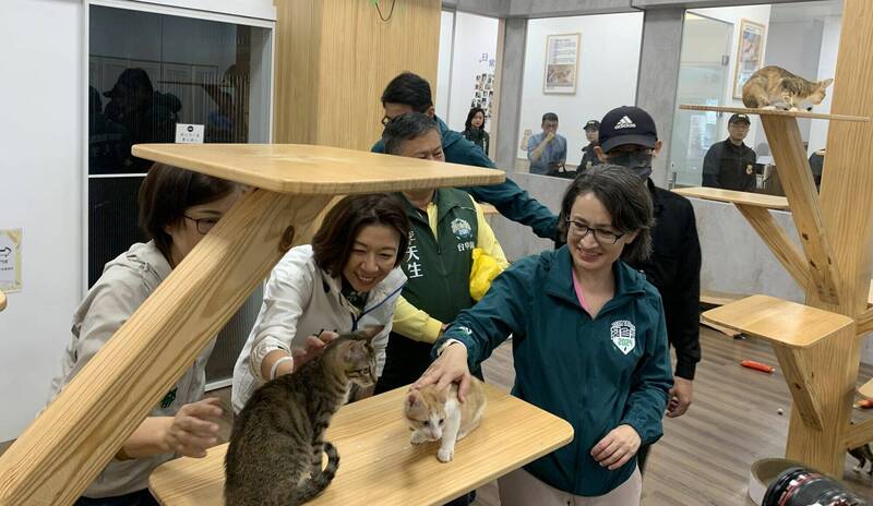 愛貓的民進黨副總統參選人蕭美琴（右1）今天在林靜儀委員（左2）等人陪同下，前往霧峰貓咪餐廳關心遊蕩動物議題。（林靜儀立委服務處提供）