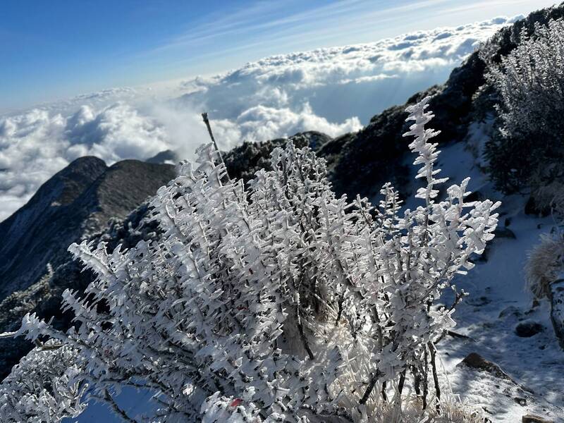 雪山接續降雪，圈谷積雪達10公分。（雪管處提供）