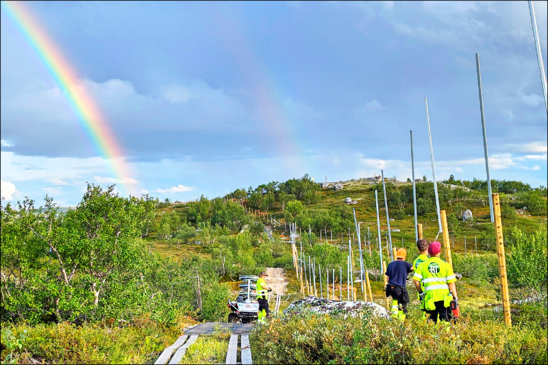 挪威搶修邊境柵欄，防止馴鹿跑到俄國境內吃草。（美聯社檔案照）