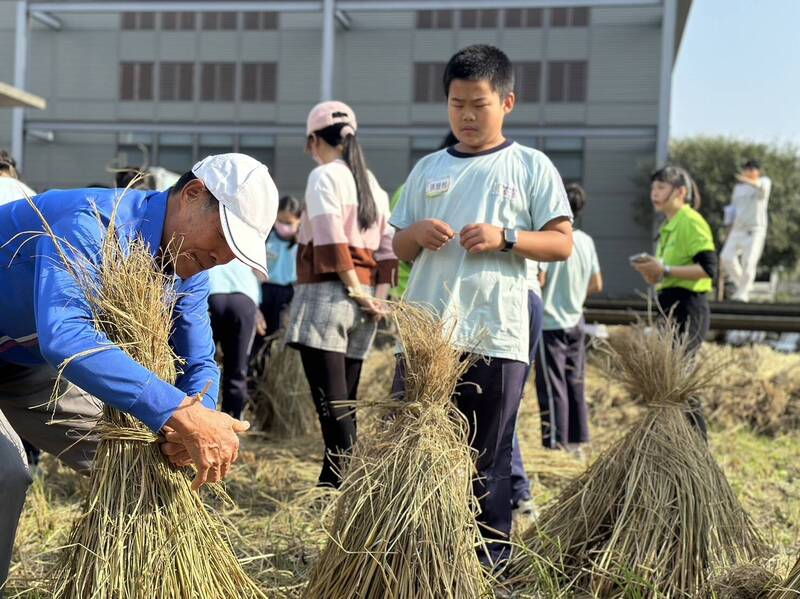 學童們學習堆草垺，重現早期農村文化地景。（泉順山水米提供）