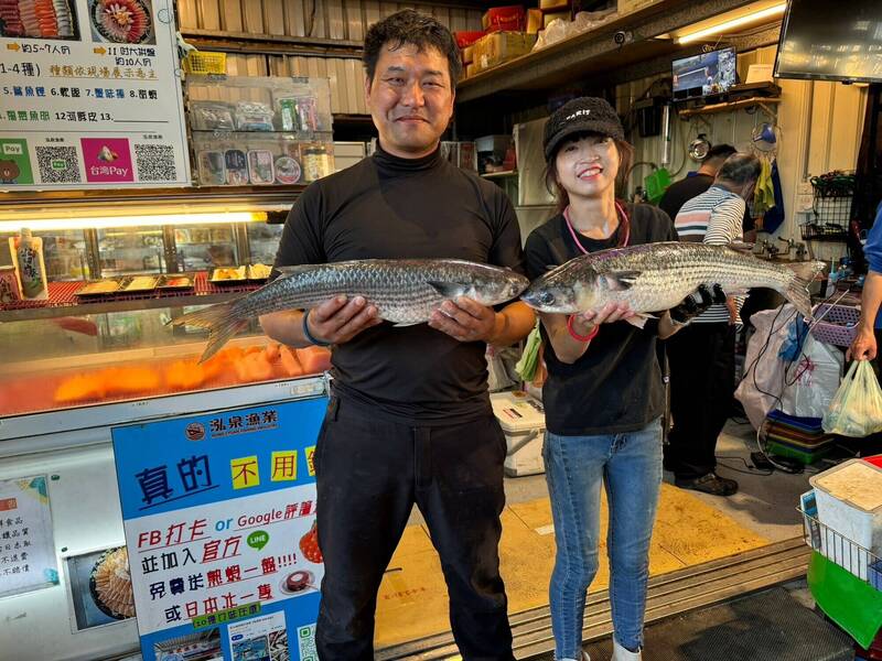 Changhua Fisherman Catches 2,000 Super Plump Mullet, Expects Million Yuan Bonus