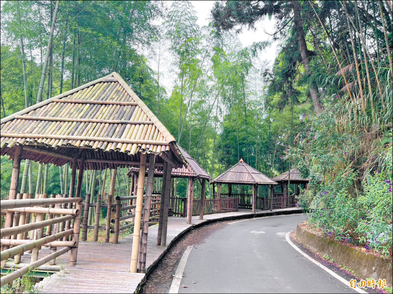 雲林縣府打造古坑草嶺石壁為森林療癒基地，吸引許多民眾前往體驗，讓草嶺遊客變多了，進一步向交通部爭取改善草嶺、華山等地主要觀光道路，提高道路品質。（記者黃淑莉攝）