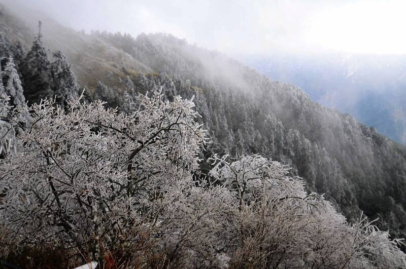 強烈大陸冷氣團來襲，合歡山連日夜間低溫降到冰點以下，道路出現結冰，今天傍晚5點後實施預警性封閉台14甲大禹嶺至翠峰段。（資料照，記者花孟璟攝）