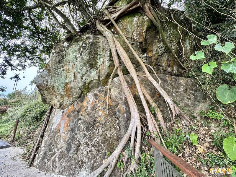 嘉義縣竹崎鄉金獅村鄉親擔心「獅頭石」風化崩落，在懸空處堆砌石頭。（記者蔡宗勳攝）