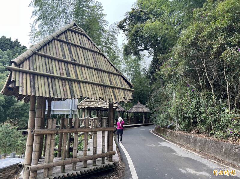 古坑草嶺石壁五元兩角步道，周邊森林療癒基地，近來吸引許多民眾前往登山健行。（記者黃淑莉攝）