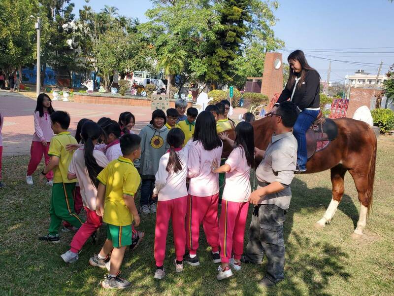 太保市新埤國小學生服務學習，與長輩學習如何照顧馬匹。（圖由新埤國小提供）