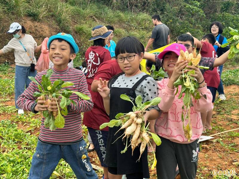 恆春水泉國小、龍泉分校孩子們開心拔蘿蔔。（記者蔡宗憲攝）