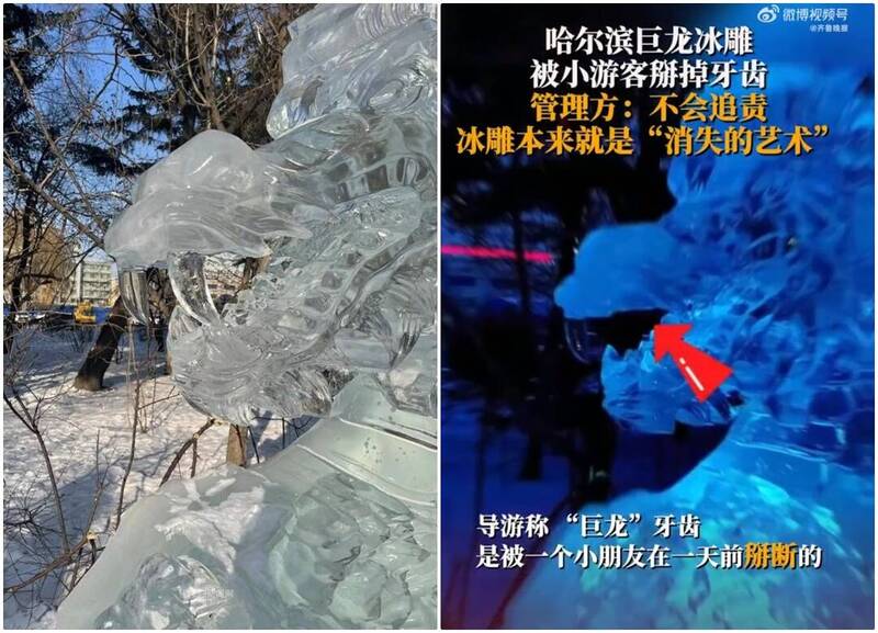 1名网友在兆麟公园观赏冰雕作品，发现其中1座得奖「巨龙冰雕」的牙齿缺损，询问导游竟得知数日前被某个游客的孩子掰断。（图撷自中媒）(photo:LTN)