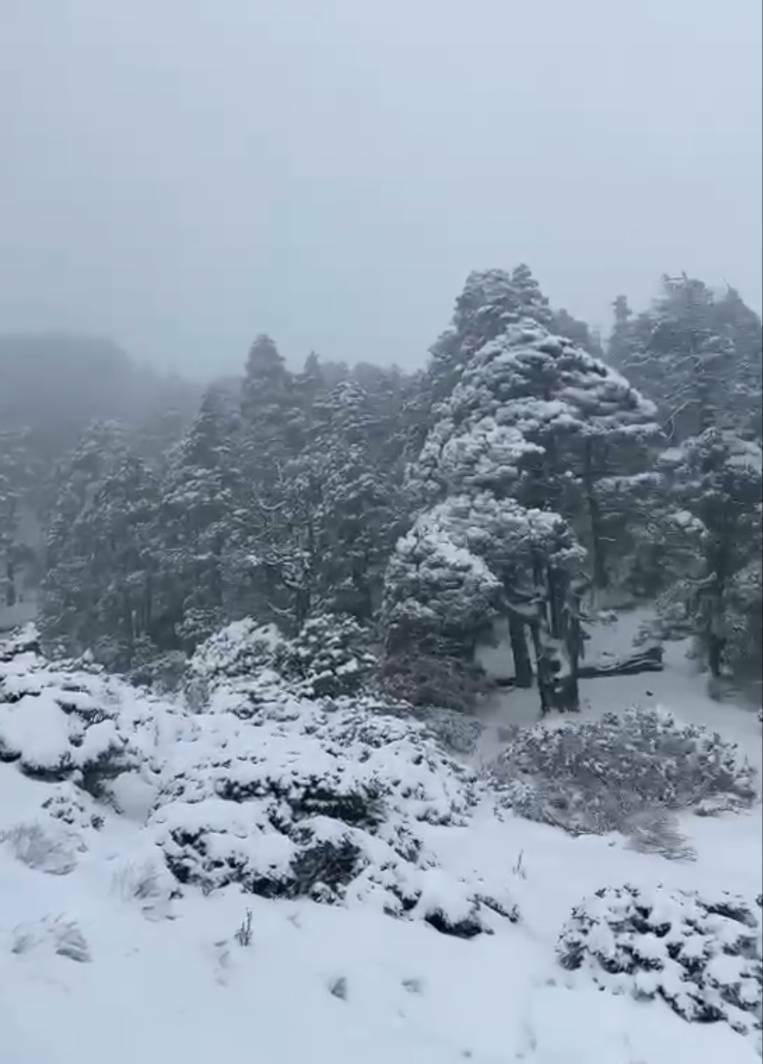 零下2度，雪山翠池積雪達20公分。（山友提供）