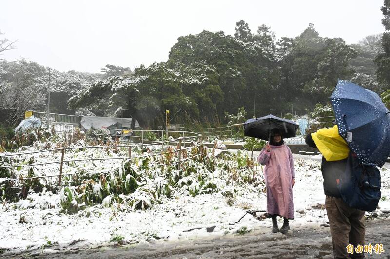 今晚北部1000公尺以上高山仍有降雪機率，圖為大屯山今天下雪，民眾在二子坪賞雪。（記者田裕華攝）