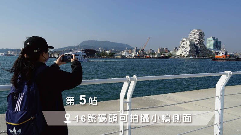 拍小鴨第5站是16號碼頭,可拍攝小鴨側面。(取自高雄旅遊網) 拍小鴨第5站是16號碼頭,可拍攝小鴨側面。(取自高雄旅遊網)