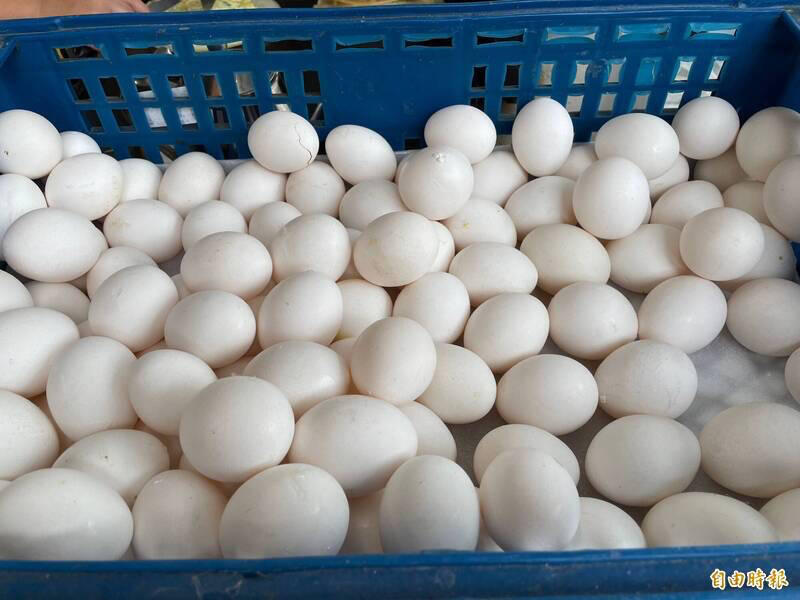 寒流發威帶動雞蛋需求 蛋價連2週調漲批發價明漲2元 - 生活 - 自由時報電子報