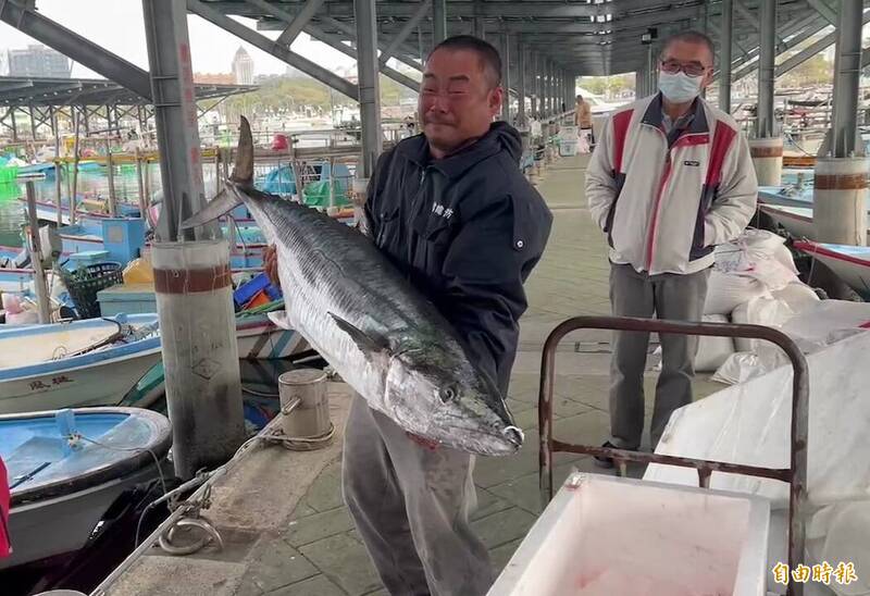 想抱起这尾重达36公斤土魠鱼，还得用上全身力量才行。（记者王姝琇摄）(photo:LTN)