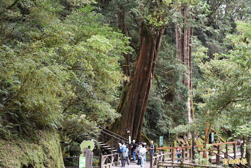 拉拉山國家森林遊樂區區2月9日（農曆除夕）休園1天。（記者李容萍攝）