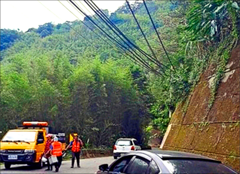 台電桃園區處派員在羅馬公路進行樹木修剪。（台電桃園區處提供）