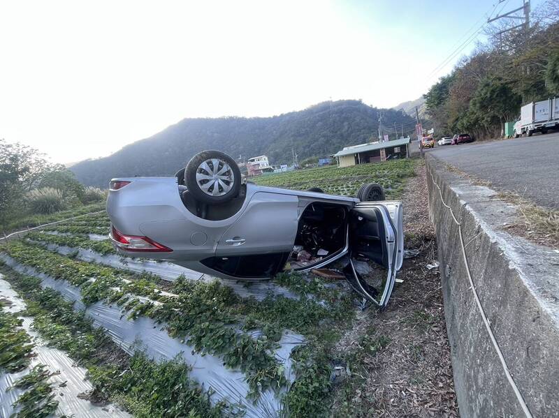 轎車翻落苗栗大湖的草莓園，四輪朝天。（民眾提供）