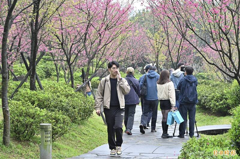 2024年陽明山花季活動7日開跑，民眾上山賞花。（記者塗建榮攝）