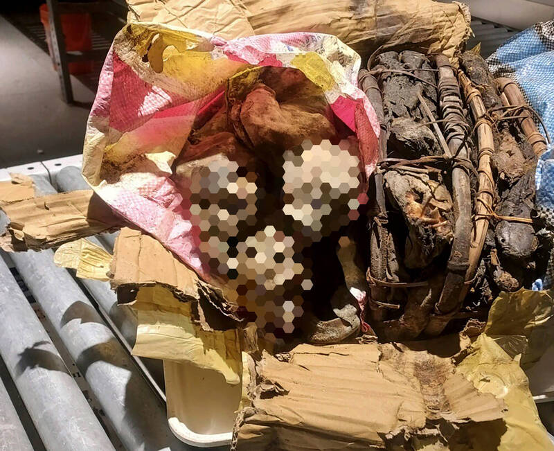 一名旅客從非洲搭機返回美國時，托運行李被機場檢疫犬嗅出有異狀，經海關人員搜查後，竟查出4隻猴子乾屍，且全部呈現「木乃伊化」。（美聯社）
