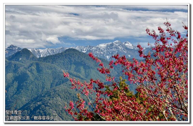 欣賞雪霸聖稜線白頭，不用登山也能賞景。（雪管處提供）