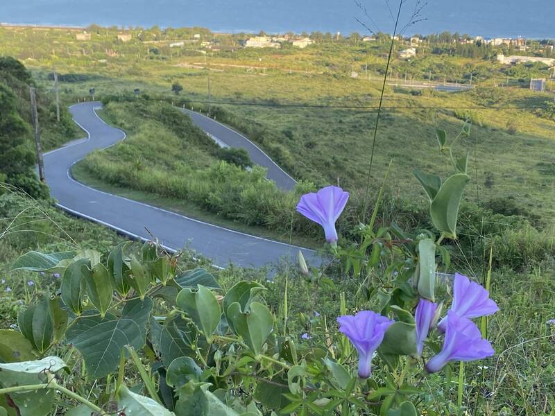 情人節最「應景」 ，通霄心形道路傳愛。（張文煥提供）