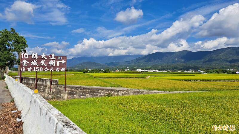 台東空氣好，藍天白雲清晰可見。去年空品監測良好日達349天。（記者黃明堂攝）