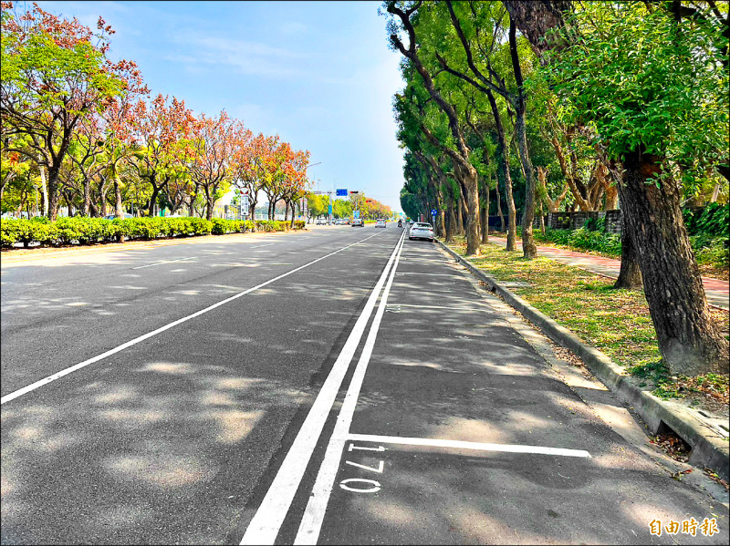 斗六路邊停車收費第二階段包括大學路2段有11個路段1152格，4月開始收費。（記者黃淑莉攝）