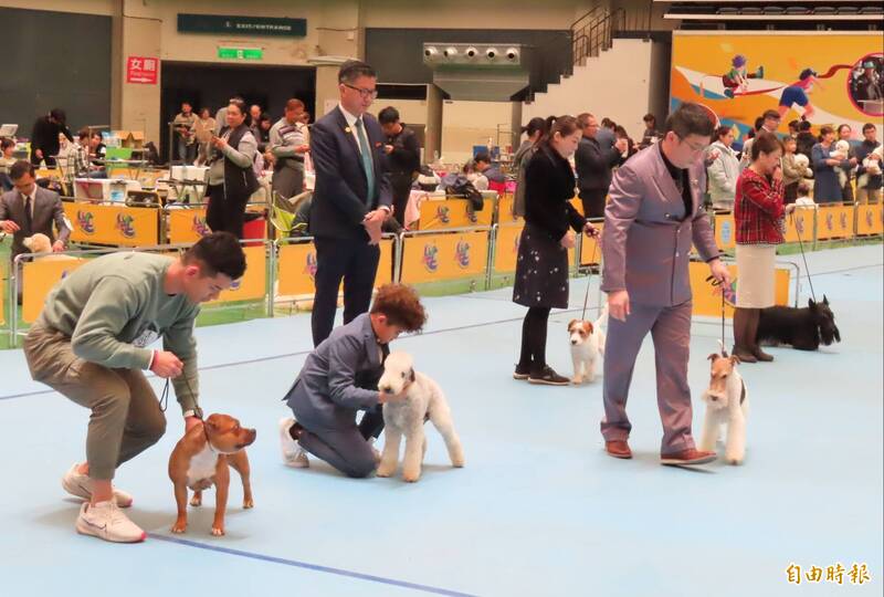 飼主帶著愛犬上場走秀，爭取評審青睞。（記者張勳騰攝）