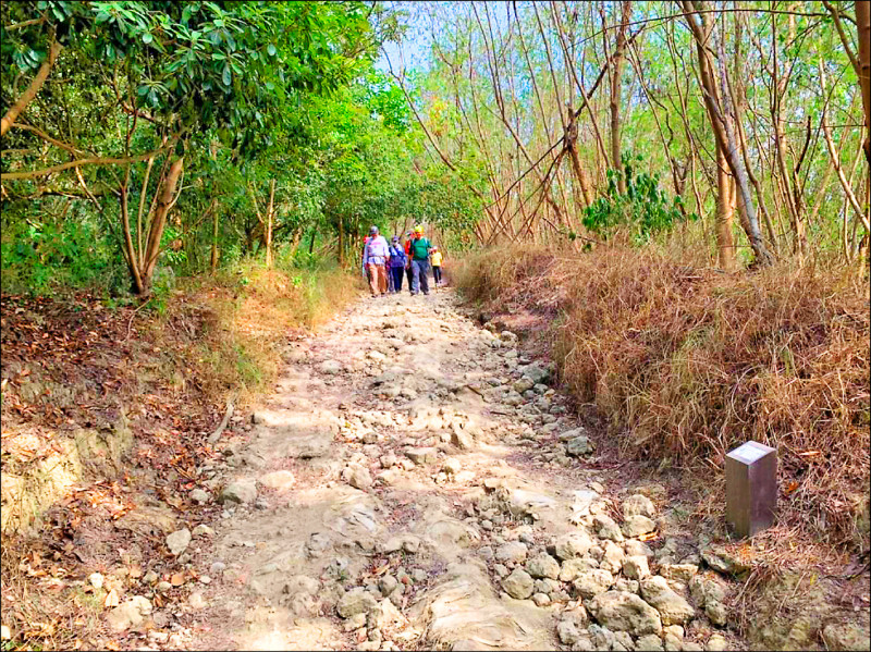 高雄市半屏山舊有採礦道路路基遭沖刷，路面崎嶇不平。（林保署屏東分署提供）