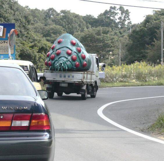 日本網友分享，動畫《風之谷》名為「王蟲」的巨大昆蟲，出現在貨車上的老照片。（圖擷取自@syouwa_otome 社群平台「X」）