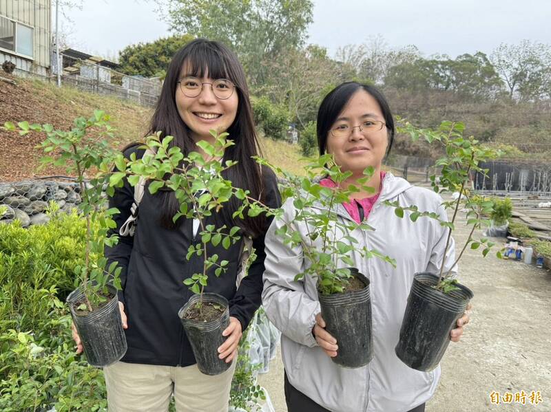 高雄市3月12日植樹節發放2.3萬棵小樹苗，號召民眾種樹增加自然碳匯。（記者陳文嬋攝）