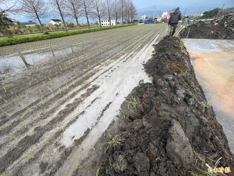 蓋農舍毀鄰田！土方掩埋秧苗 農民跳腳、網炸鍋