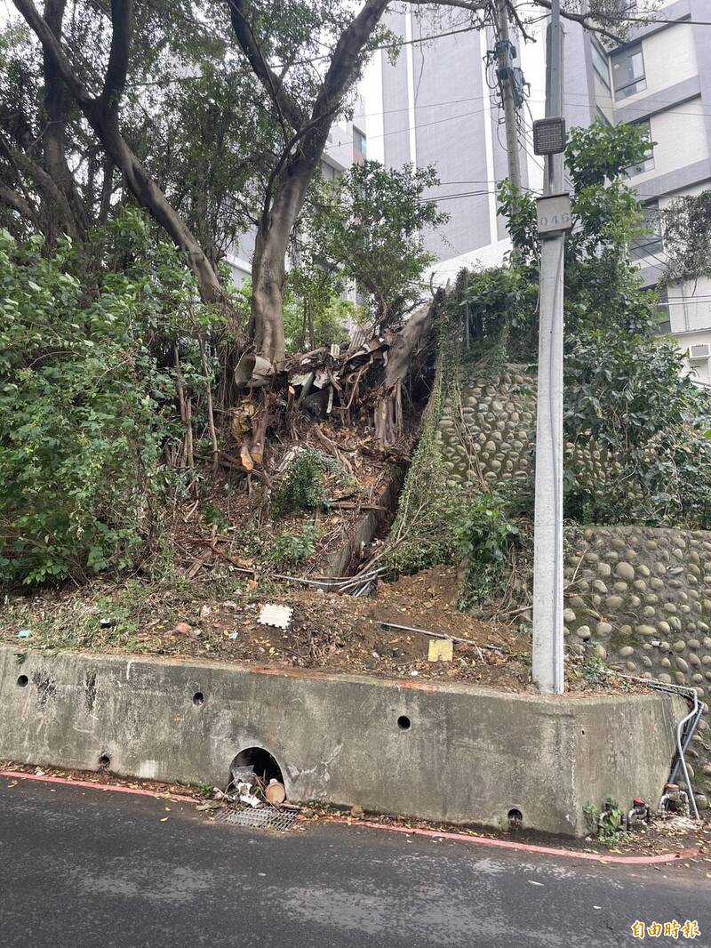 新竹市大學路51巷路樹倒塌釀一死一傷，市議員鄭美娟質疑市府蓋牌及甩鍋，要求市長高虹安應向市民道歉，並負起責任面對。圖為大學路51巷現況。（記者洪美秀攝）