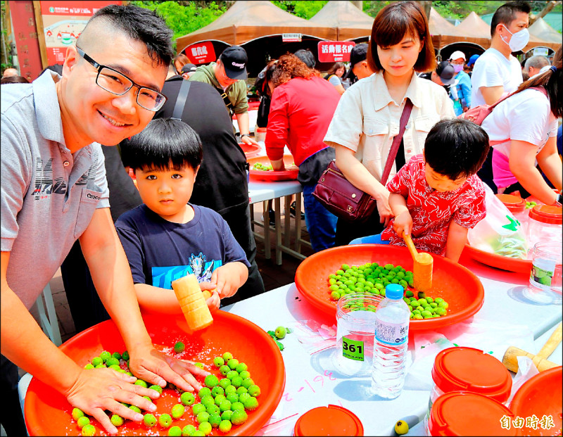 南投梅子節登場，吸引親子一起手作脆梅。
（記者謝介裕攝）