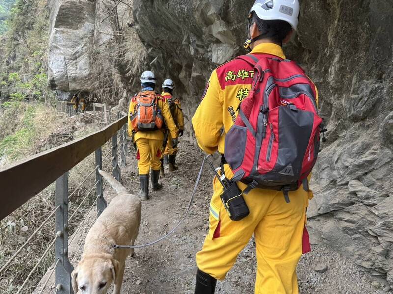 今天早上9點多派遣花蓮、高雄市特搜人員合計12人配合3隻搜救犬前進砂卡礑步道進行搜救。（高雄市特搜提供）