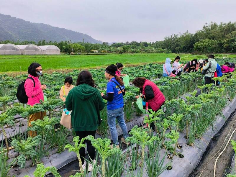 民眾參訪鶯歌市民農園。(翻攝自臉書「鶯歌區公所」) 民眾參訪鶯歌市民農園。(翻攝自臉書「鶯歌區公所」)