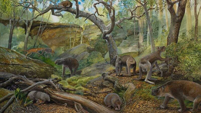 艺术家笔下对更新世（Pleistocene）时期南澳洲东南部的印象，展示了与原始无齿象一起生活在那里的各种植物和动物。（图撷取自Flinders University网站）(photo:LTN)