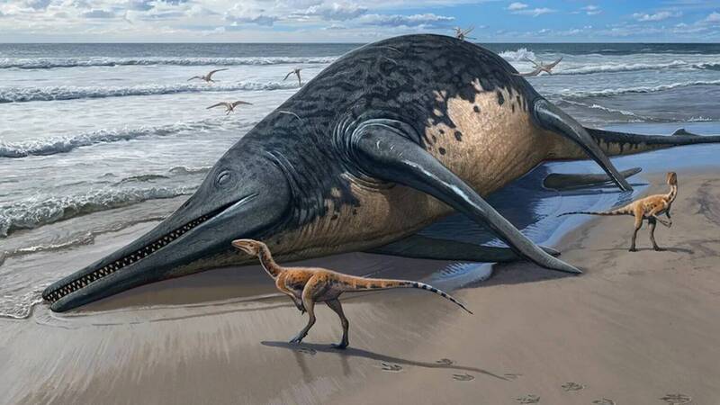 画下笔下的塞文河巨型鱼龙还原想像图。（图撷取自Dean Lomax 脸书专页）(photo:LTN)